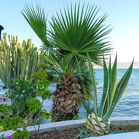Albatros Otel Briatico