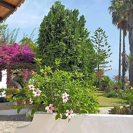 Albatros Otel